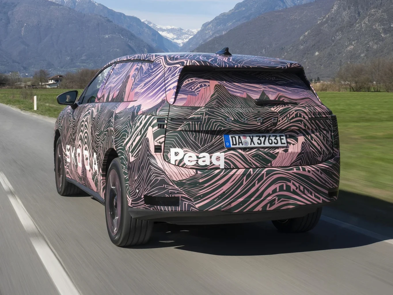 Skoda Peag 06