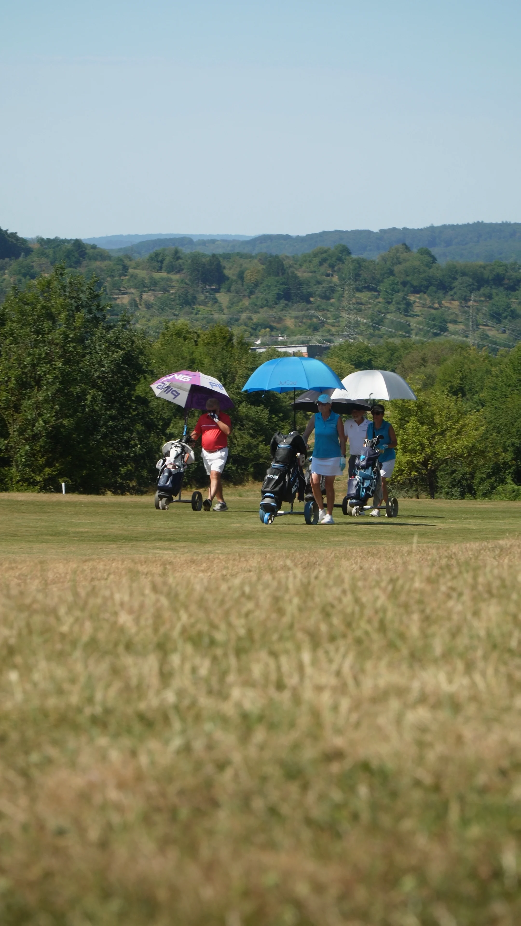 Golf Main 01 00 12