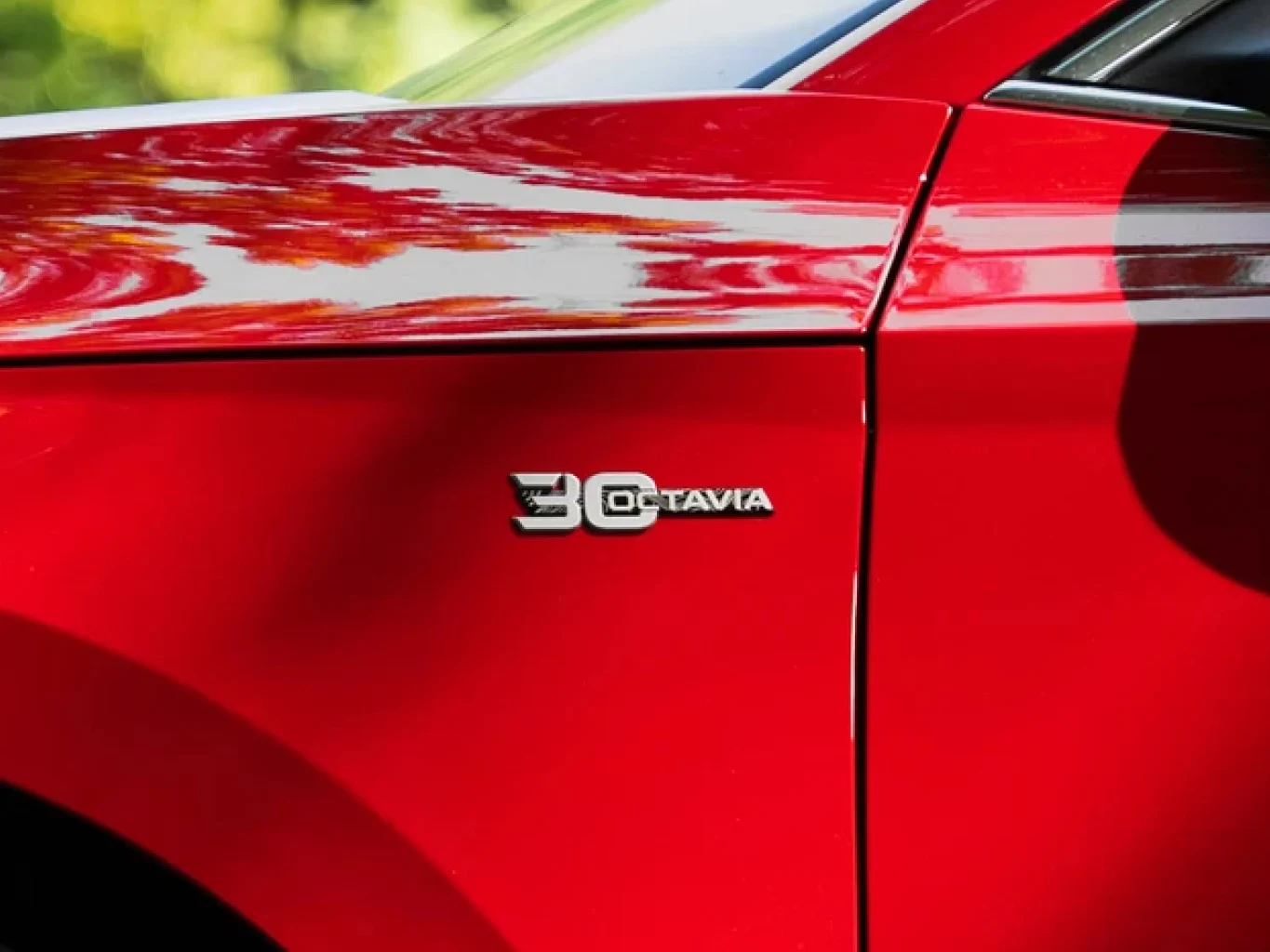 08 2026 Octavia 30 Jahre3